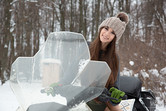 Snowmobile photo 4