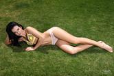 Relax In The Grass photo 2